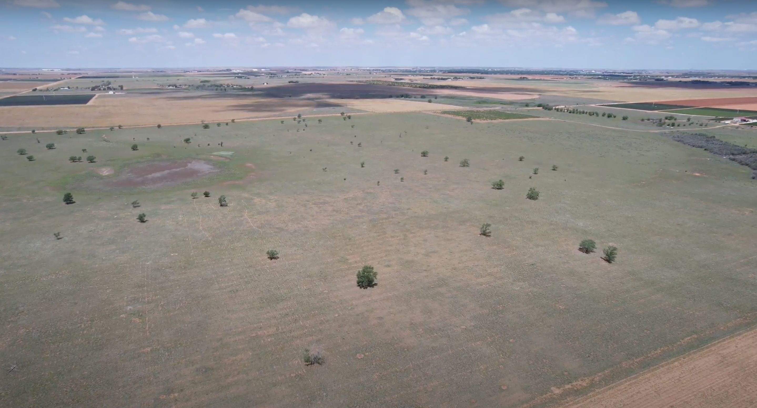 Brownfield, Terry County, TX Farms and Ranches, Undeveloped Land
