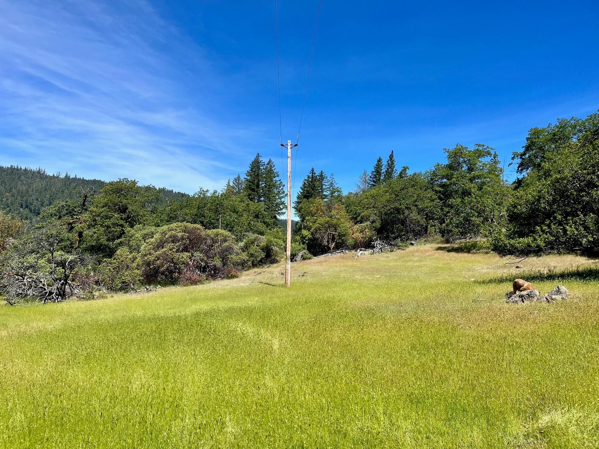 Salyer, Trinity County, CA Farms and Ranches for sale Property ID