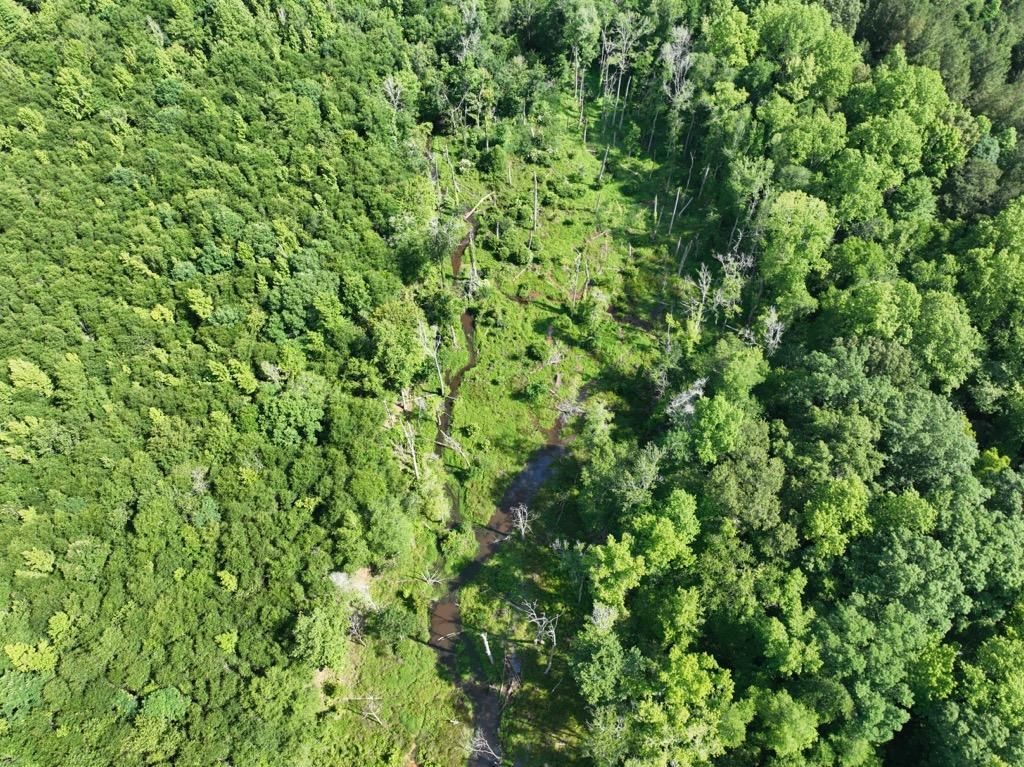 Louisville, Jefferson County, GA for sale Property ID 416546001