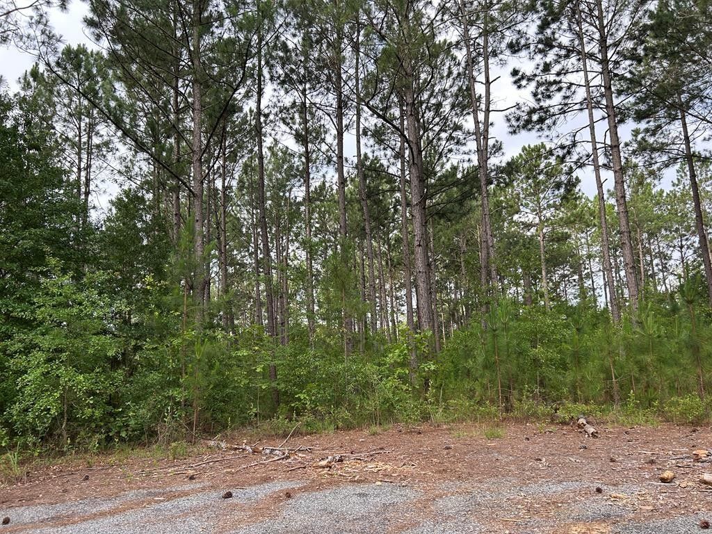 Lot 12 Whispering Pines Dr, Rochelle, GA 31079 MLS 57591 LandWatch