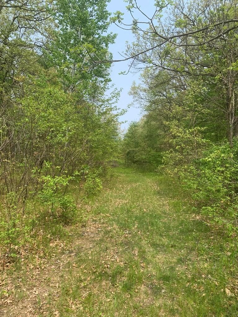 Lyndon Station, Juneau County, WI Recreational Property, Undeveloped