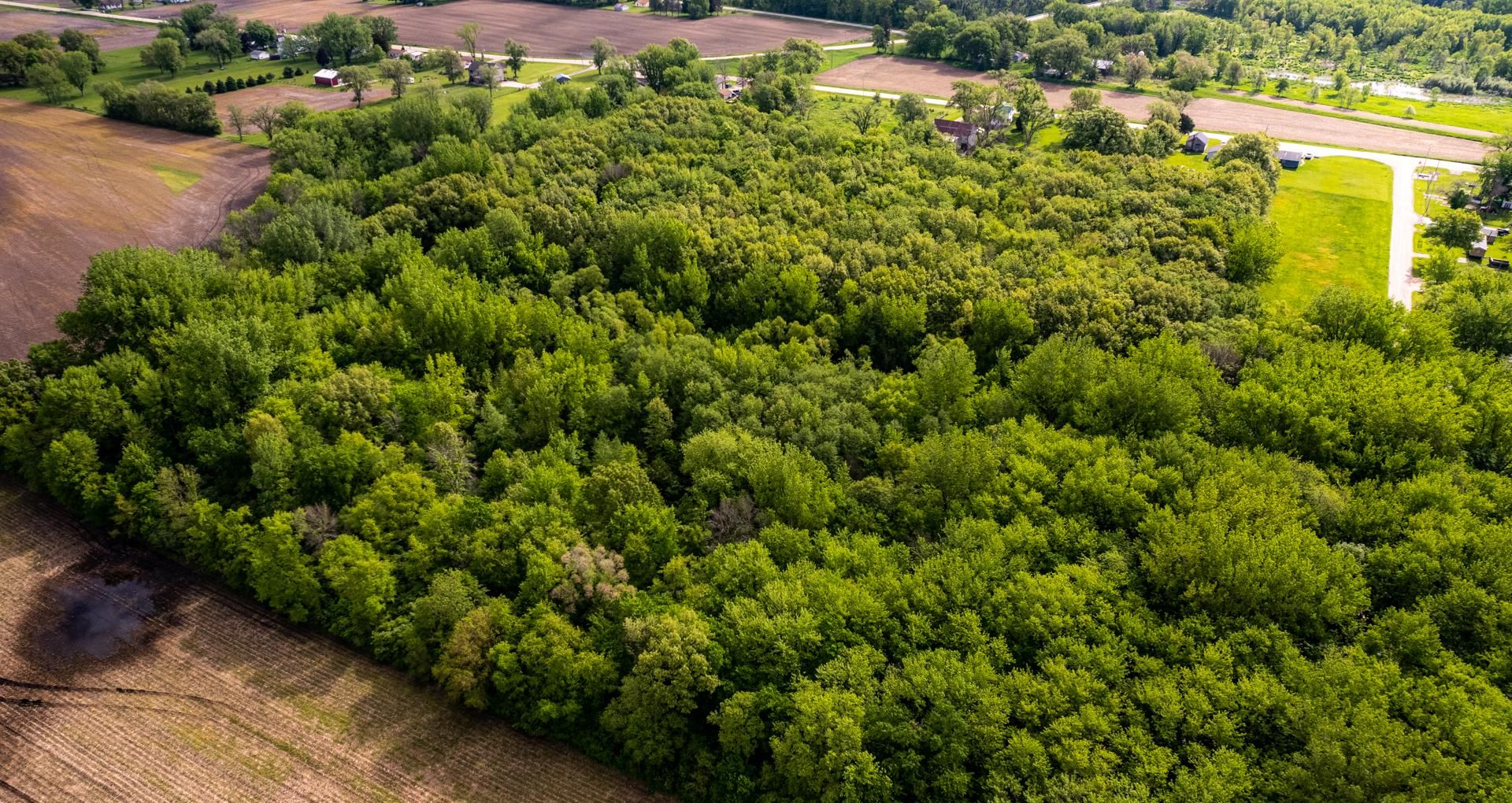 Hillsdale, Rock Island County, IL Recreational Property, Timberland