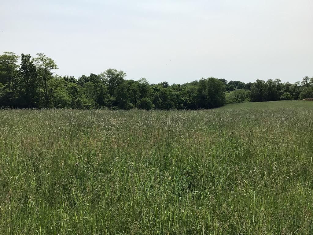 Brooksville, Bracken County, KY Undeveloped Land for sale Property ID