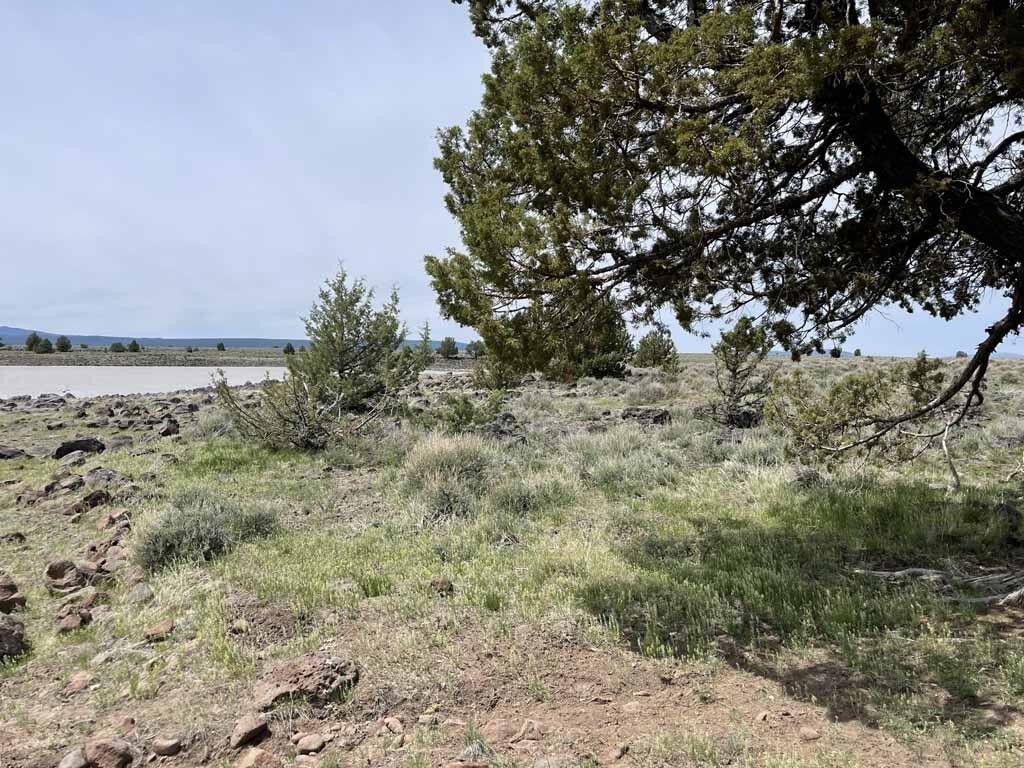 Bly, Klamath County, OR Undeveloped Land, Lakefront Property