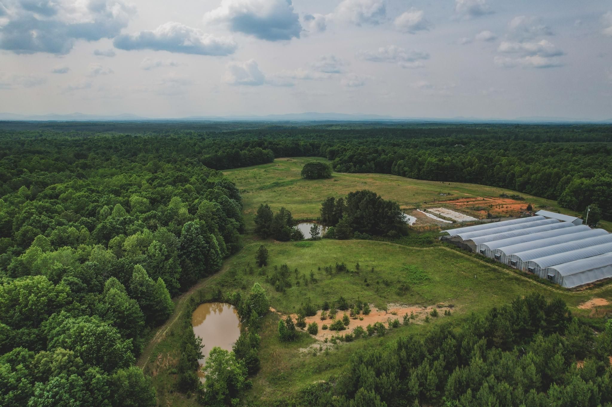 Scottsville, Buckingham County, VA Timberland Property, Hunting