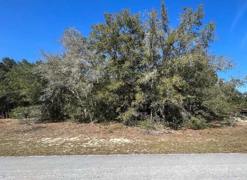 Citrus Springs, Citrus County, FL Recreational Property, Undeveloped