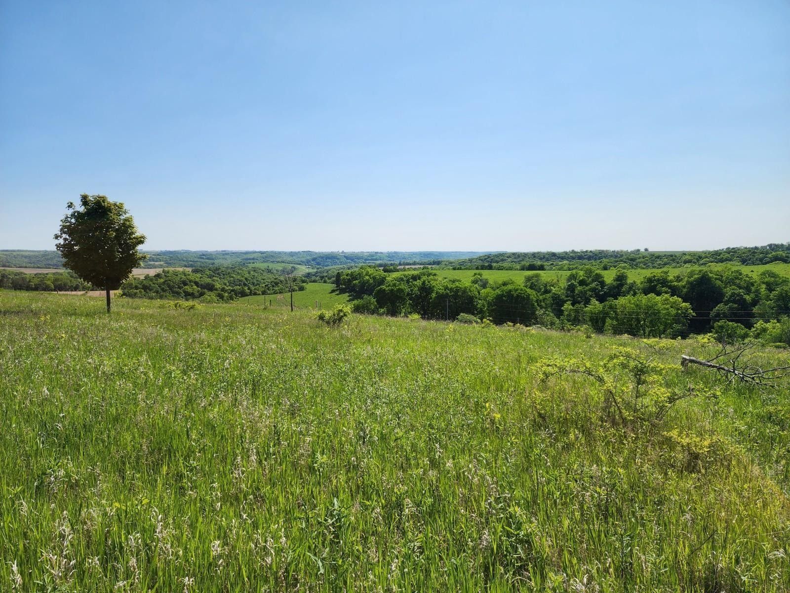 Harpers Ferry, Allamakee County, IA Homesites for sale Property ID