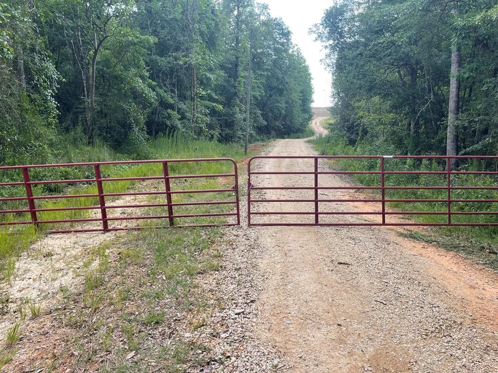 Brundidge, Pike County, AL Undeveloped Land for sale Property ID