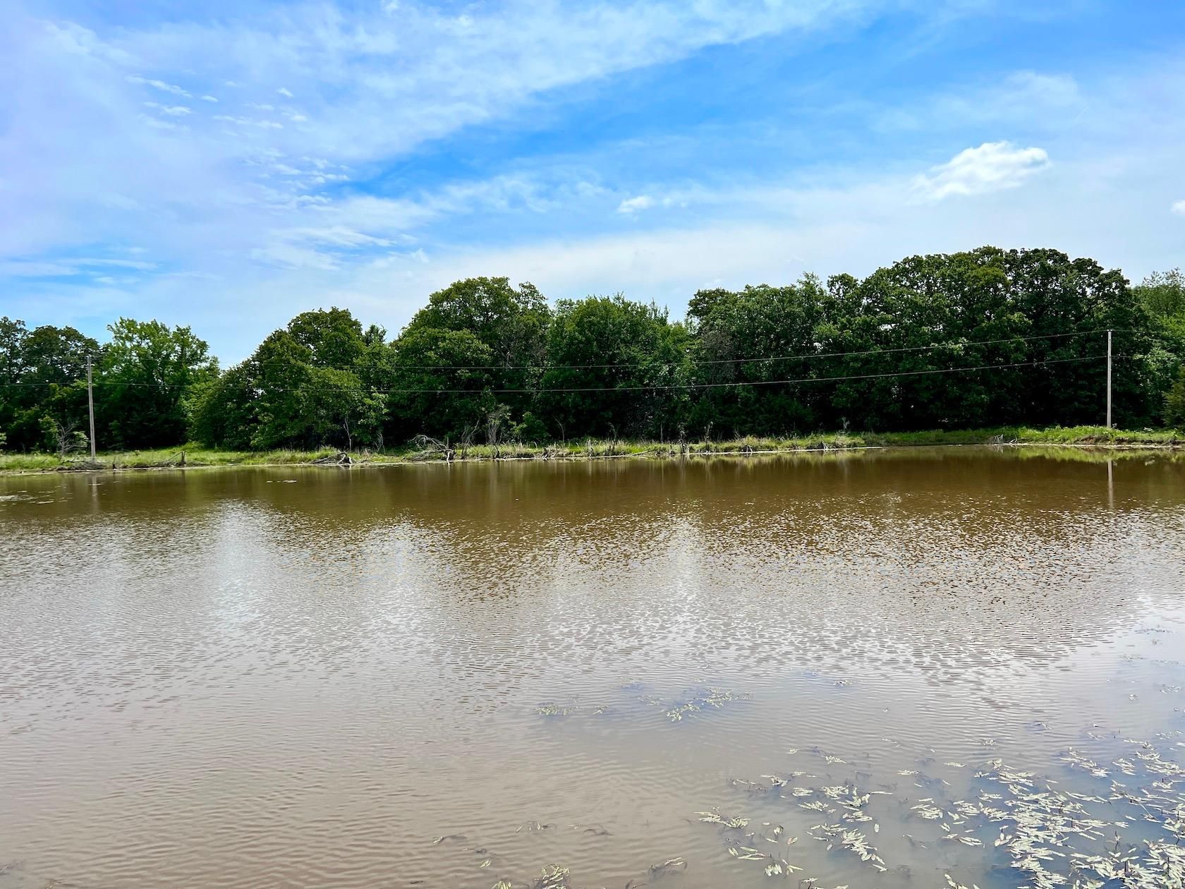 10 acres in Konawa, OK, 74849 LandWatch