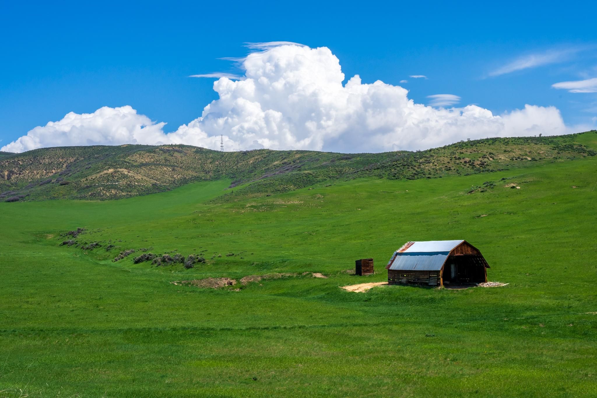 Hayden, Routt County, CO Farms and Ranches, Undeveloped Land for sale