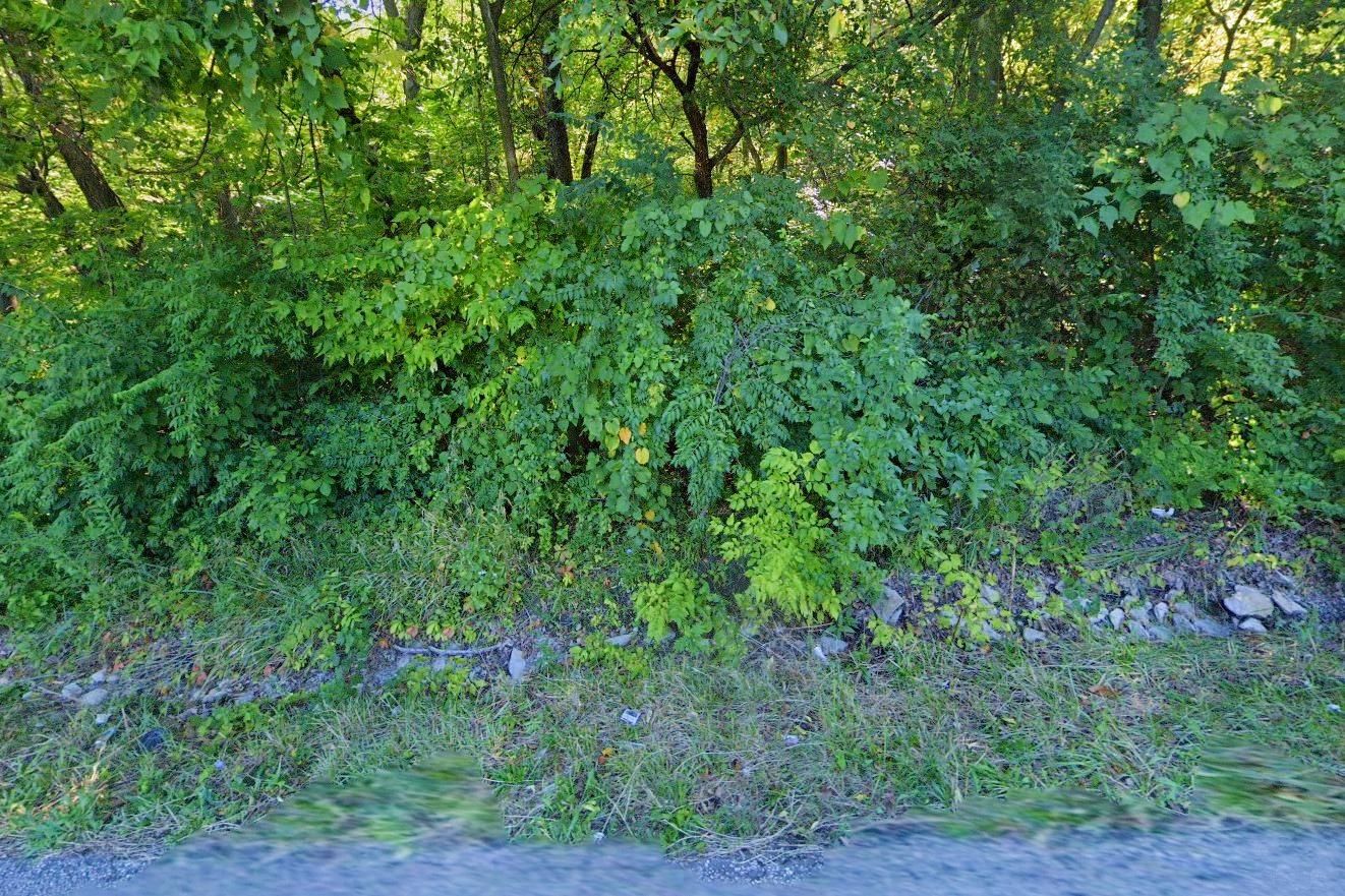 Kansas City, Wyandotte County, KS Recreational Property, Undeveloped