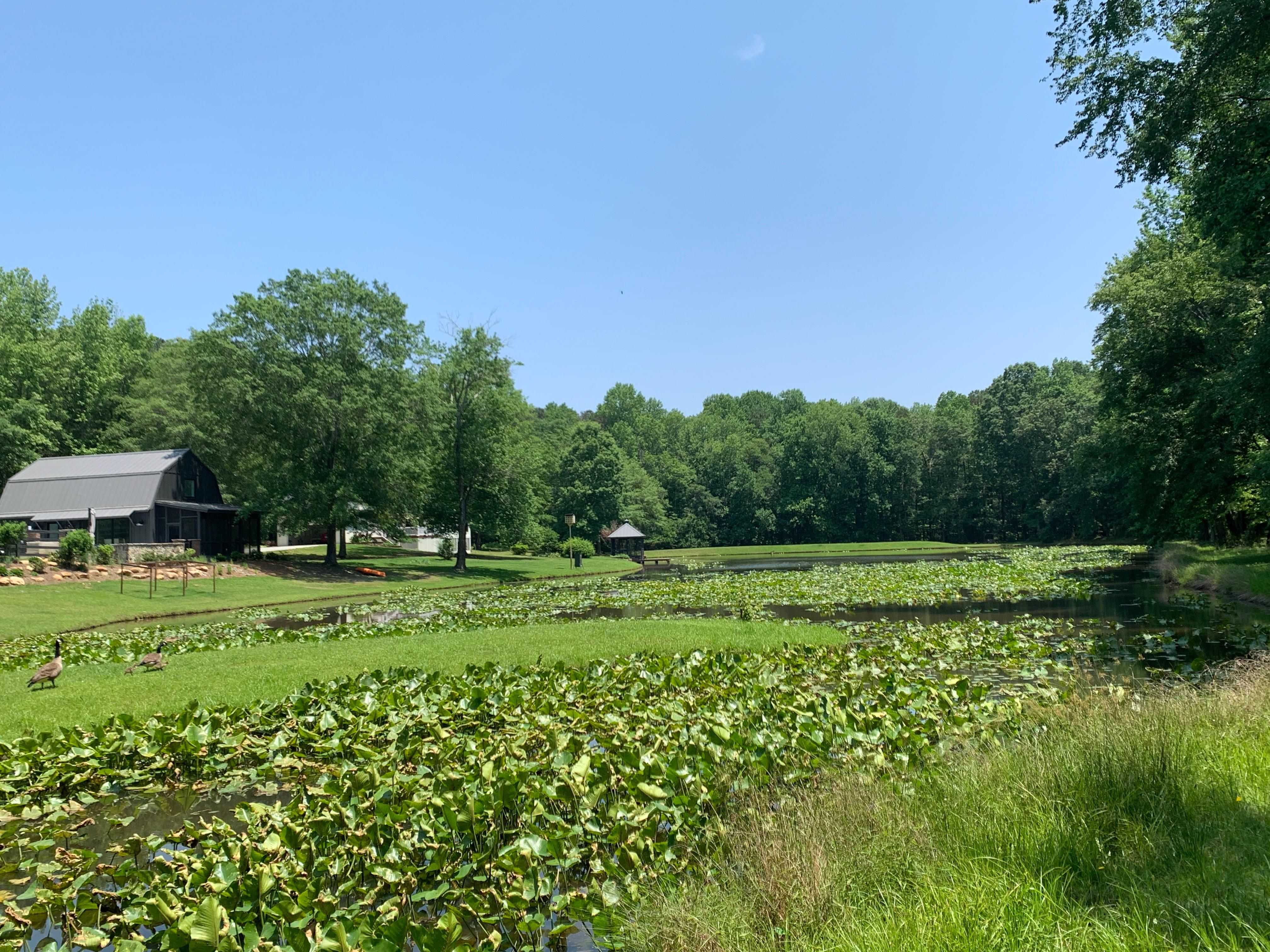 Monroe, Walton County, GA Recreational Property, Undeveloped Land for