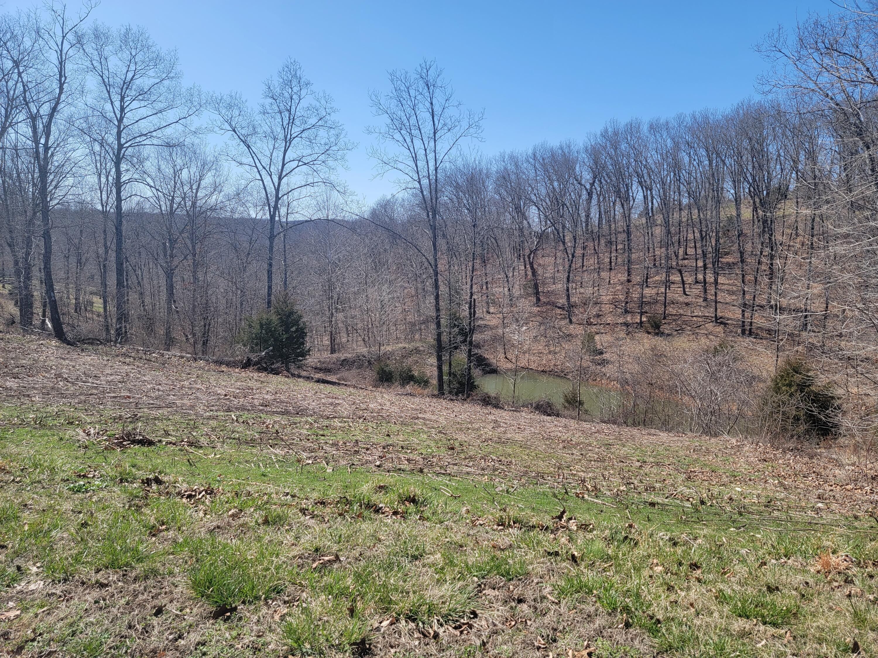 Highlandville, Christian County, MO for sale Property ID 416224732