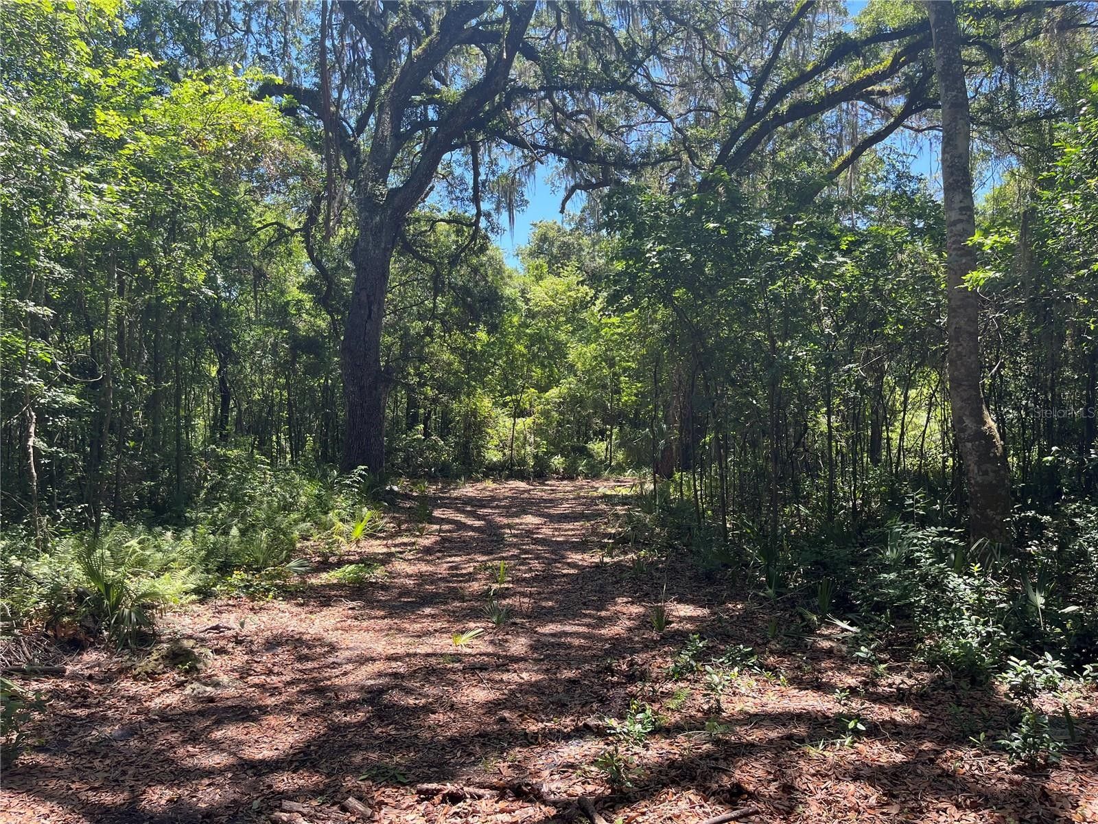 Bushnell, Sumter County, FL Farms and Ranches, Homesites for sale