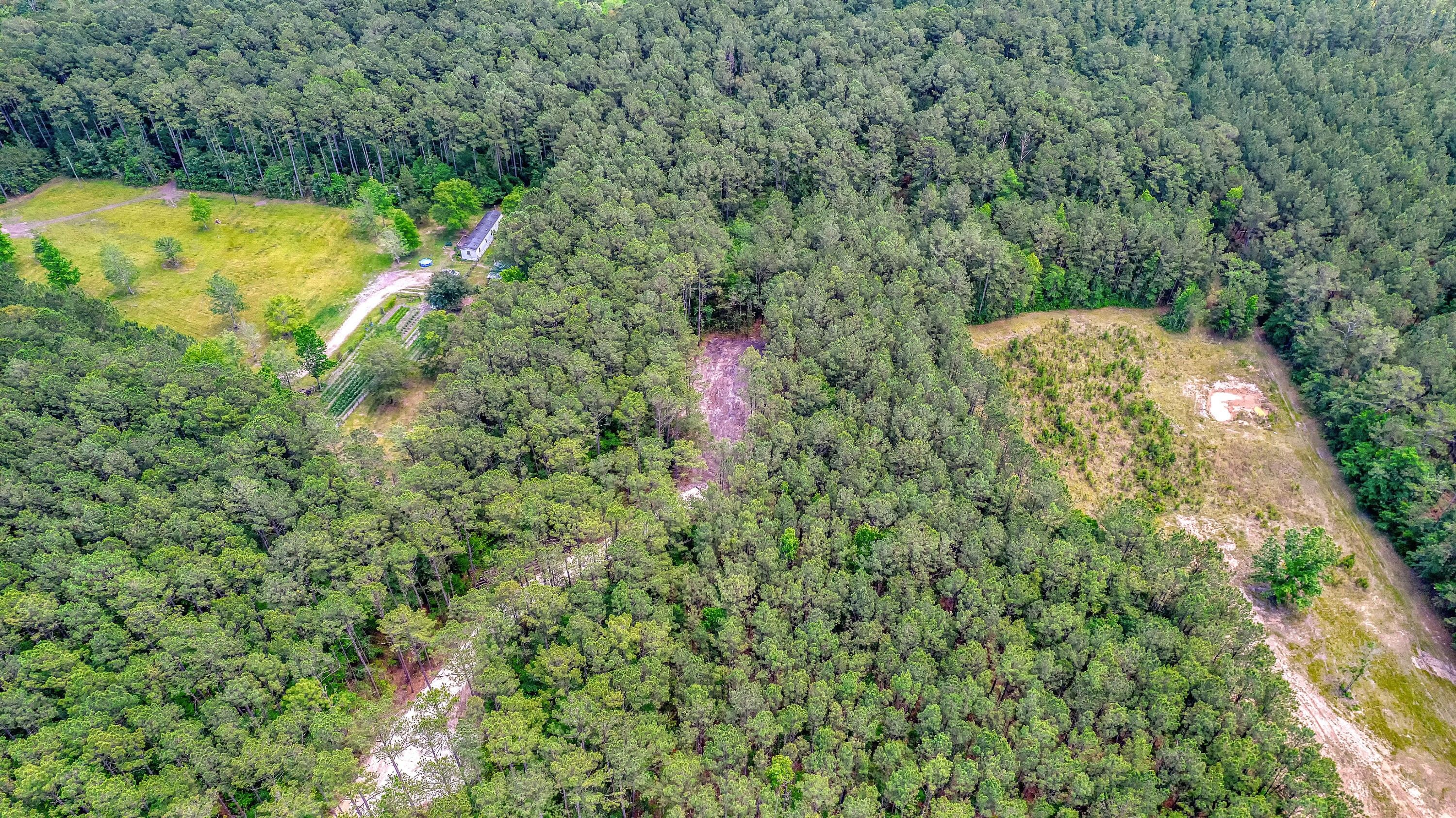 Adams Run, Charleston County, SC Farms and Ranches, Homesites for sale