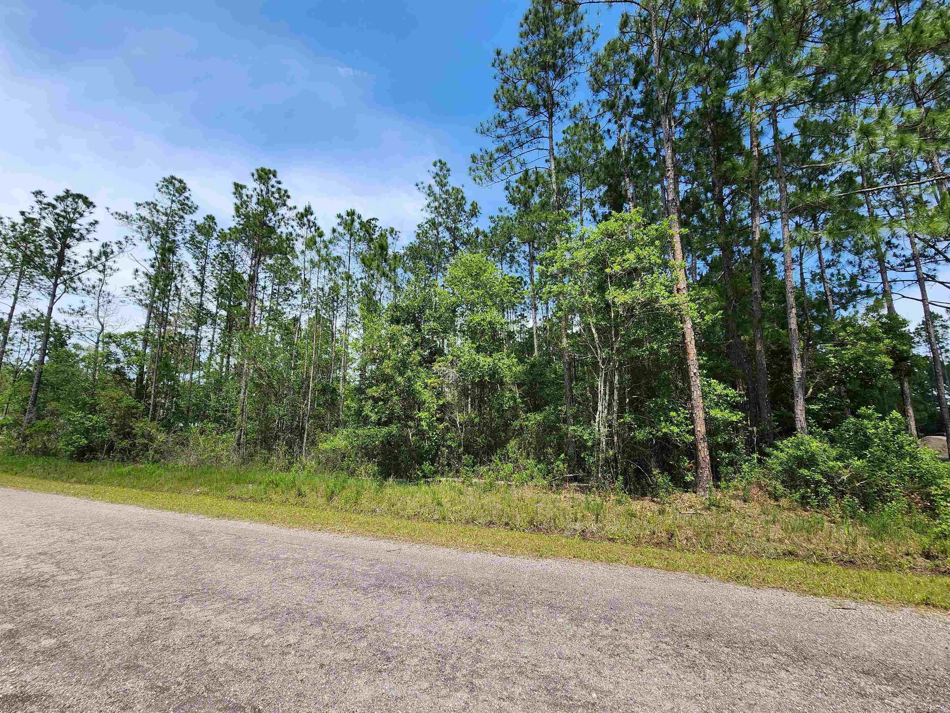 Hastings, Saint Johns County, FL Farms and Ranches, Homesites for sale
