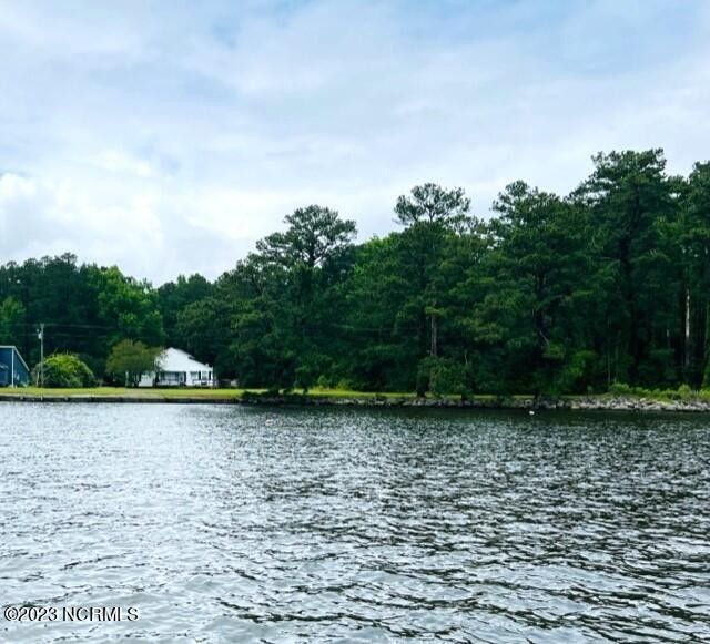 Bayboro, Pamlico County, NC Undeveloped Land, Lakefront Property