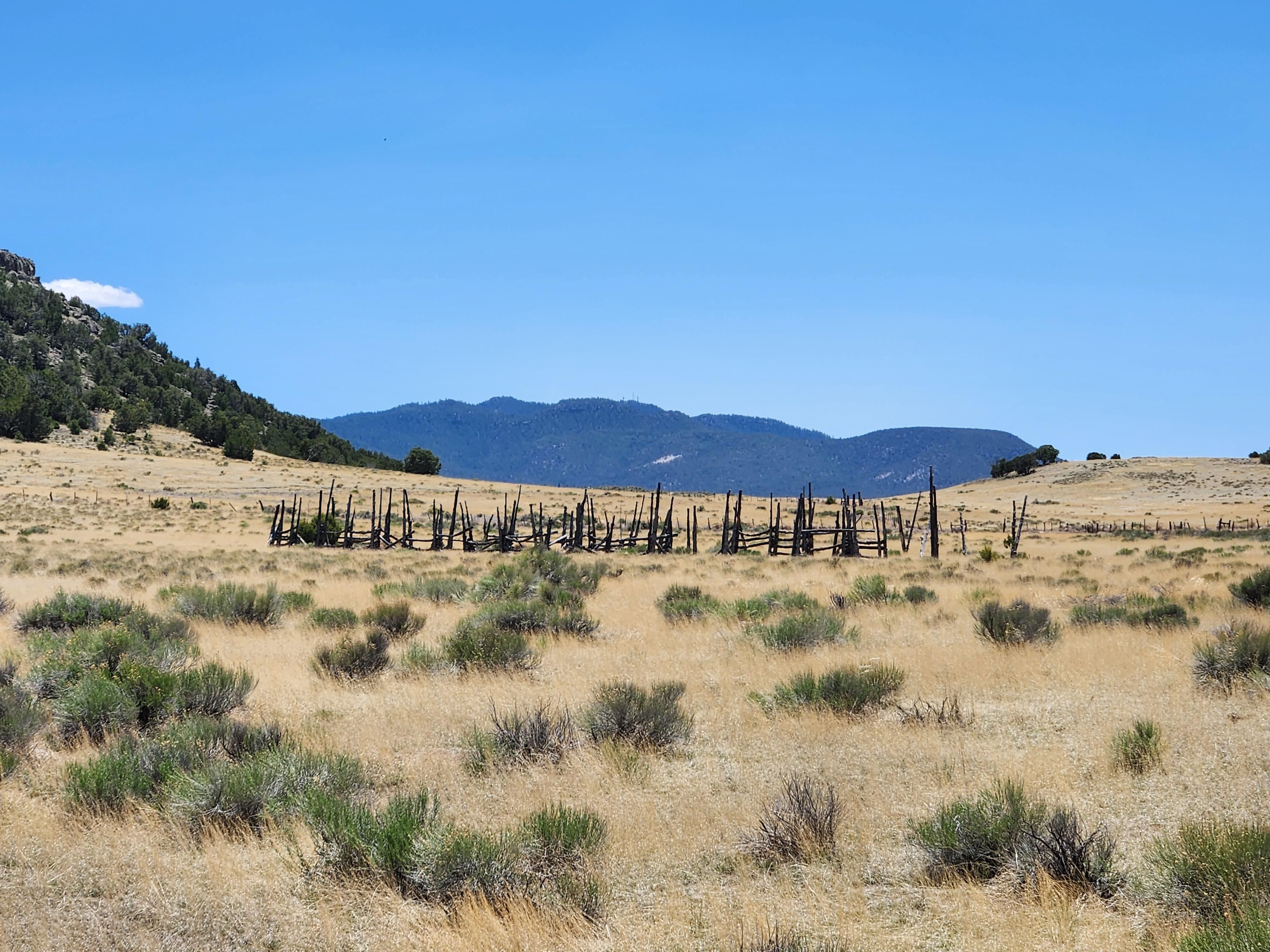 Quemado, Catron County, NM Farms and Ranches, Hunting Property, Horse
