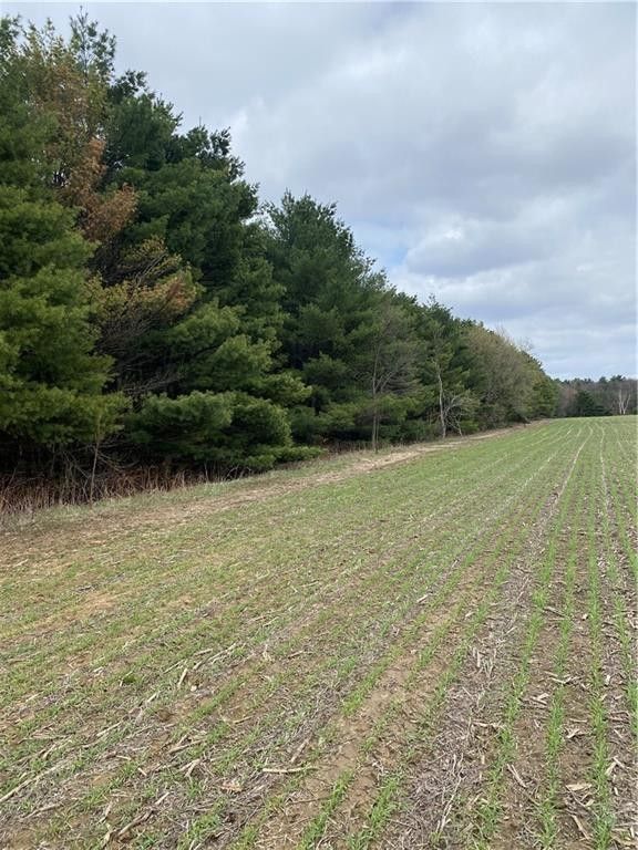 Osseo, Jackson County, WI Farms and Ranches, Homesites for sale