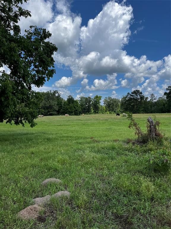 Annona, Red River County, TX Undeveloped Land for sale Property ID