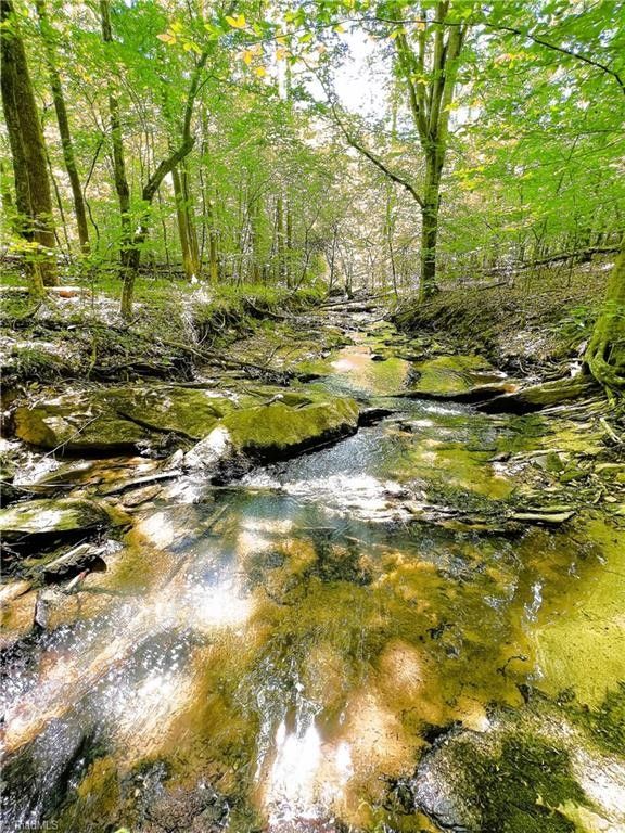 Madison, Rockingham County, NC Farms and Ranches for sale Property ID