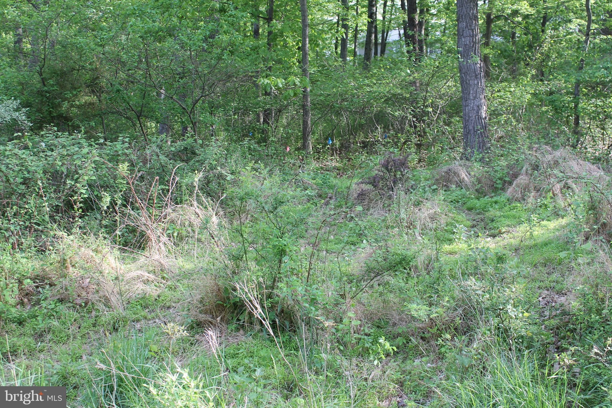 Fairfield, Adams County, PA Undeveloped Land, Homesites for sale