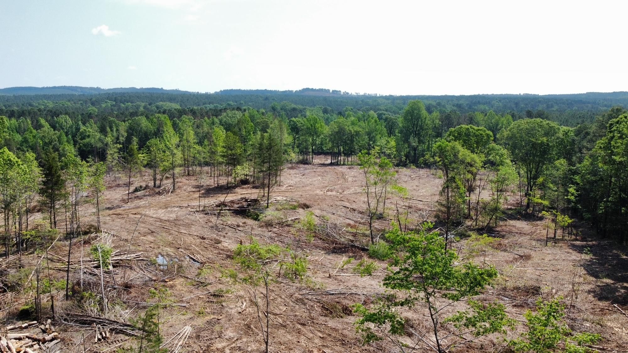 92.7 acres in Mantee, MS, 39751 LandWatch