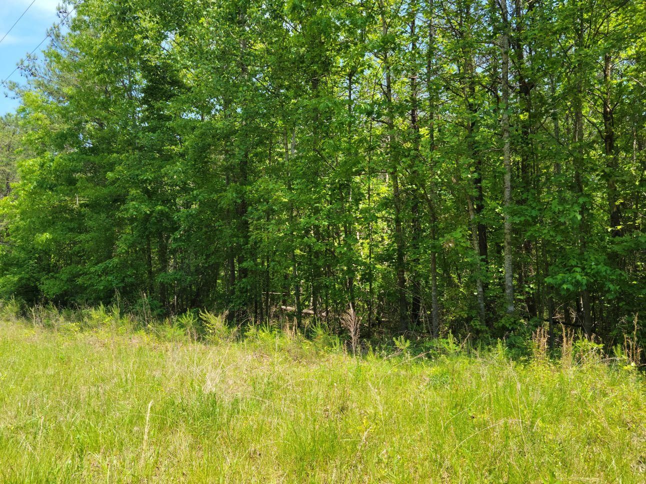 5 acres in Ferrum, VA, 24088 LandWatch