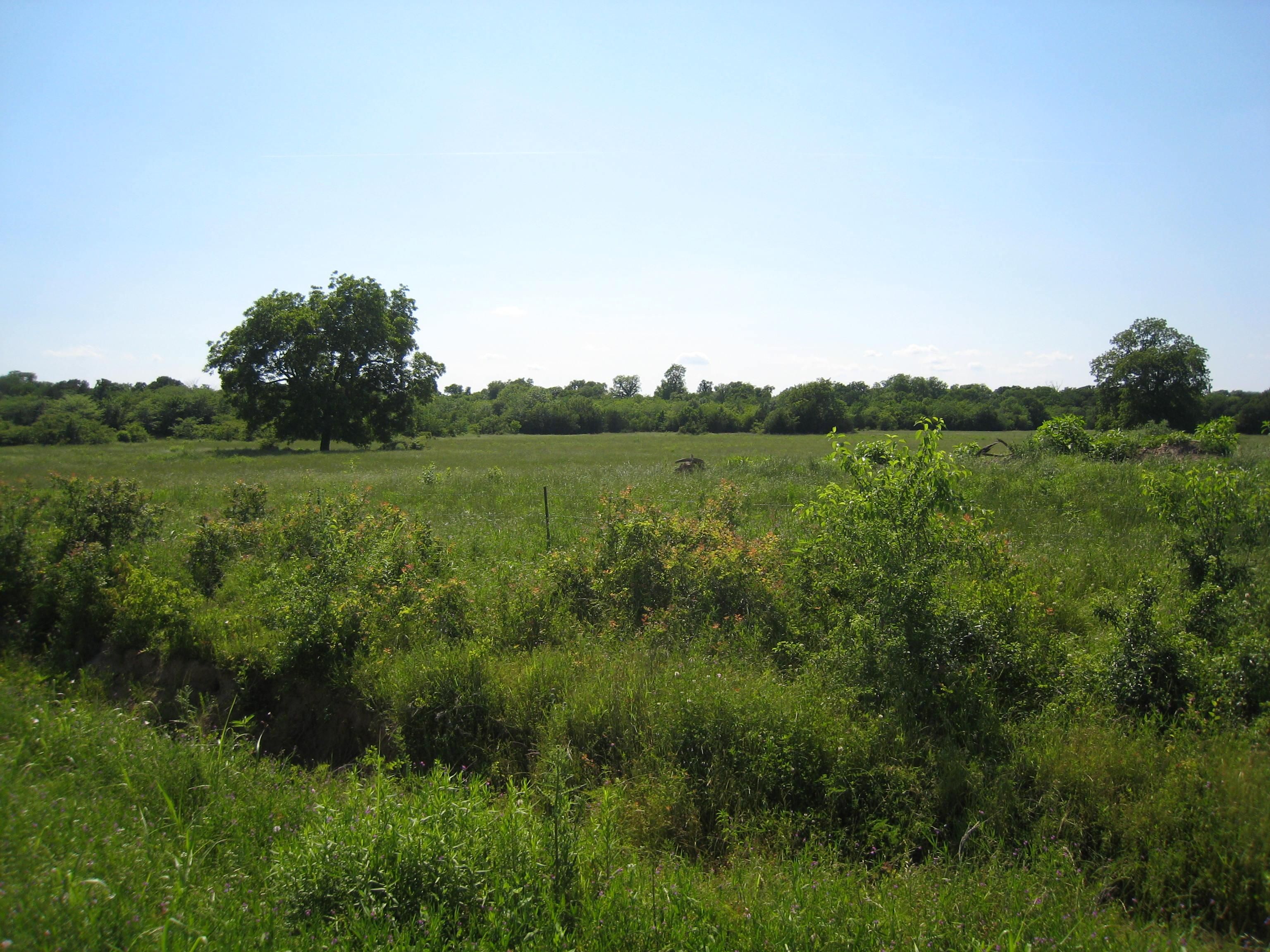Celeste, Hunt County, TX Farms and Ranches for sale Property ID