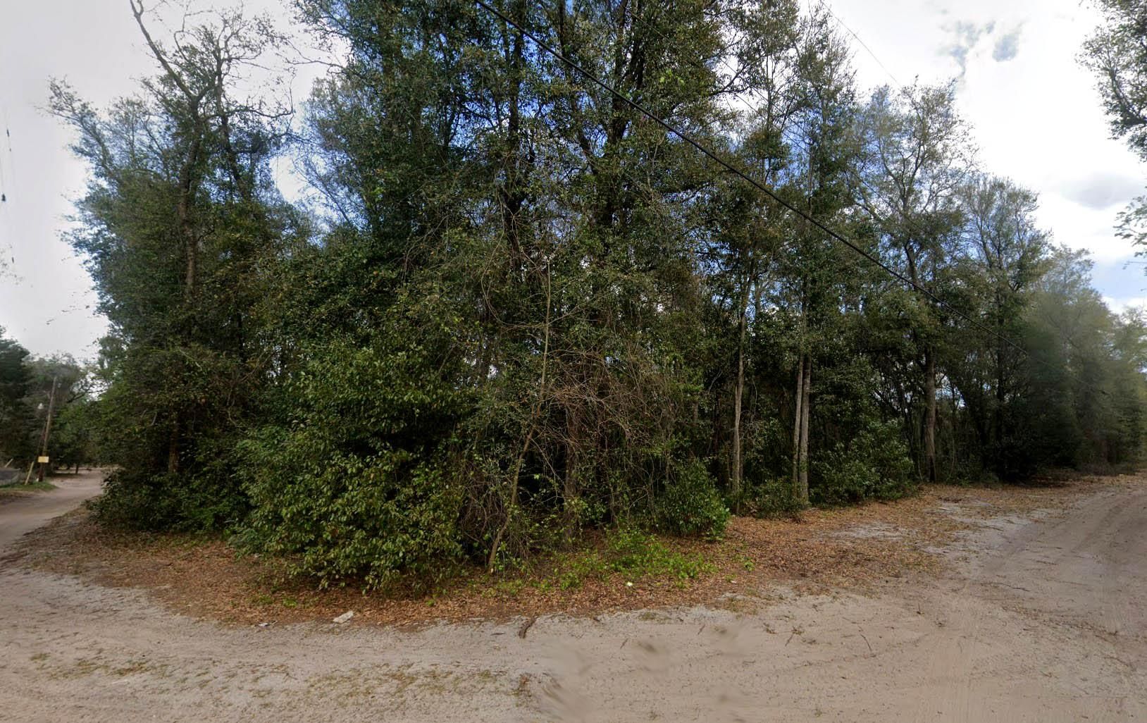Umatilla, Marion County, FL Recreational Property, Undeveloped Land