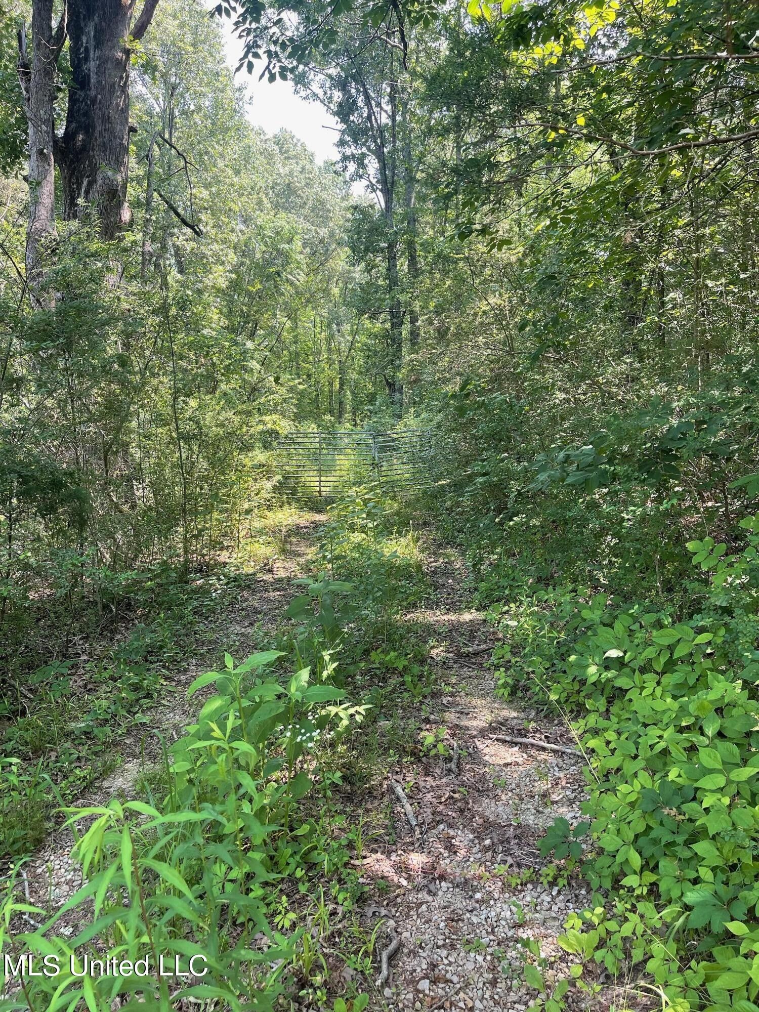 Byhalia, Marshall County, MS Farms and Ranches for sale Property ID