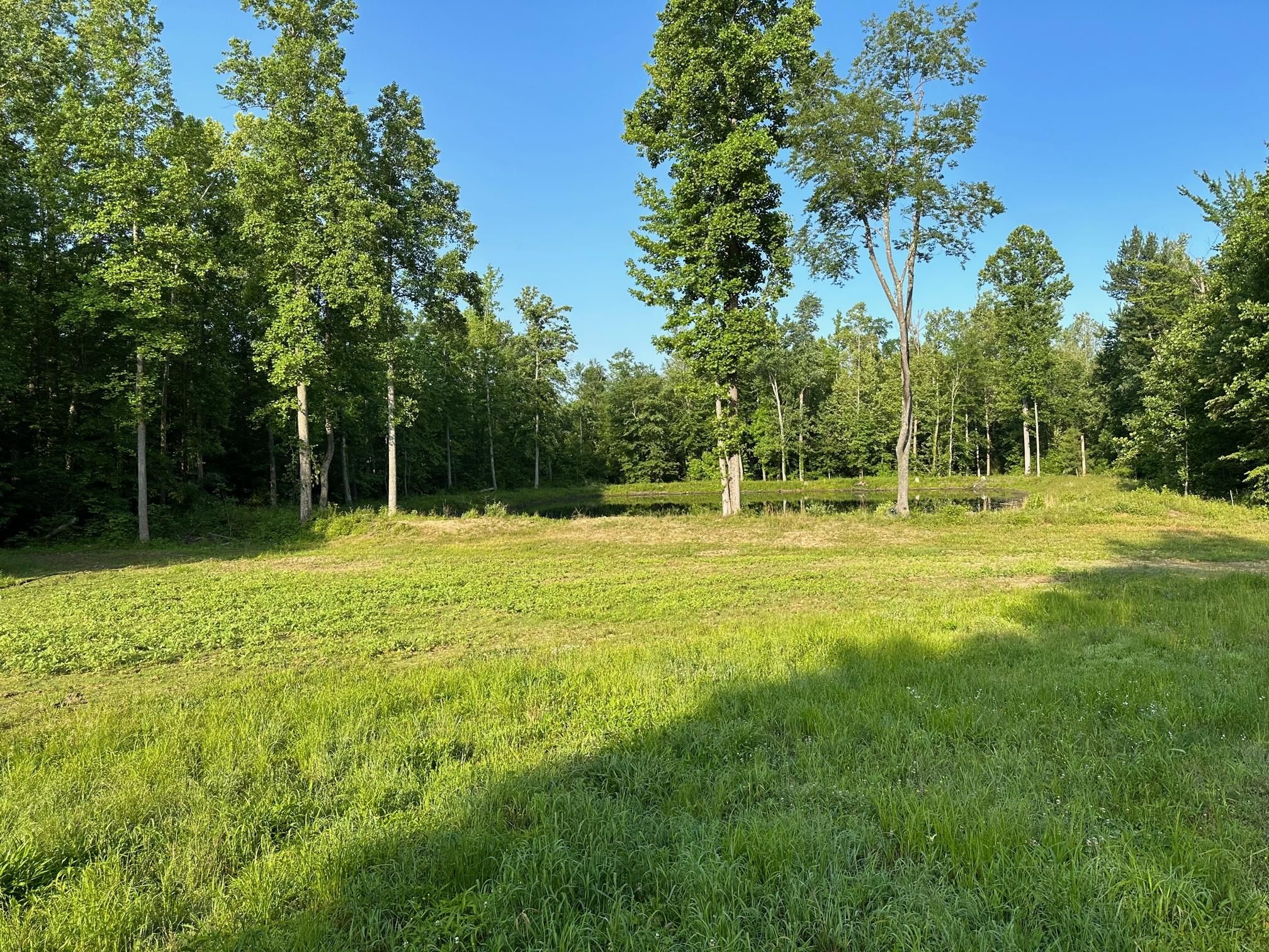 Dawson Springs, Hopkins County, KY Commercial Property for sale