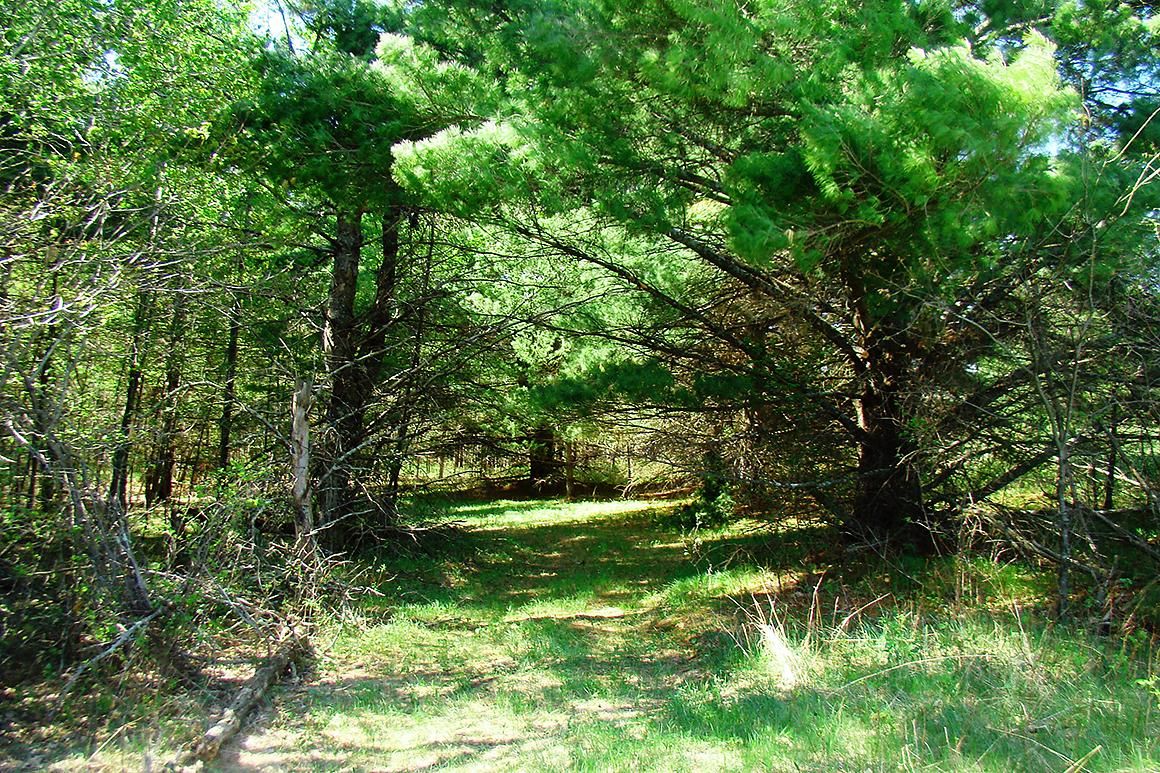 Rhinelander, Oneida County, WI Recreational Property, Hunting Property