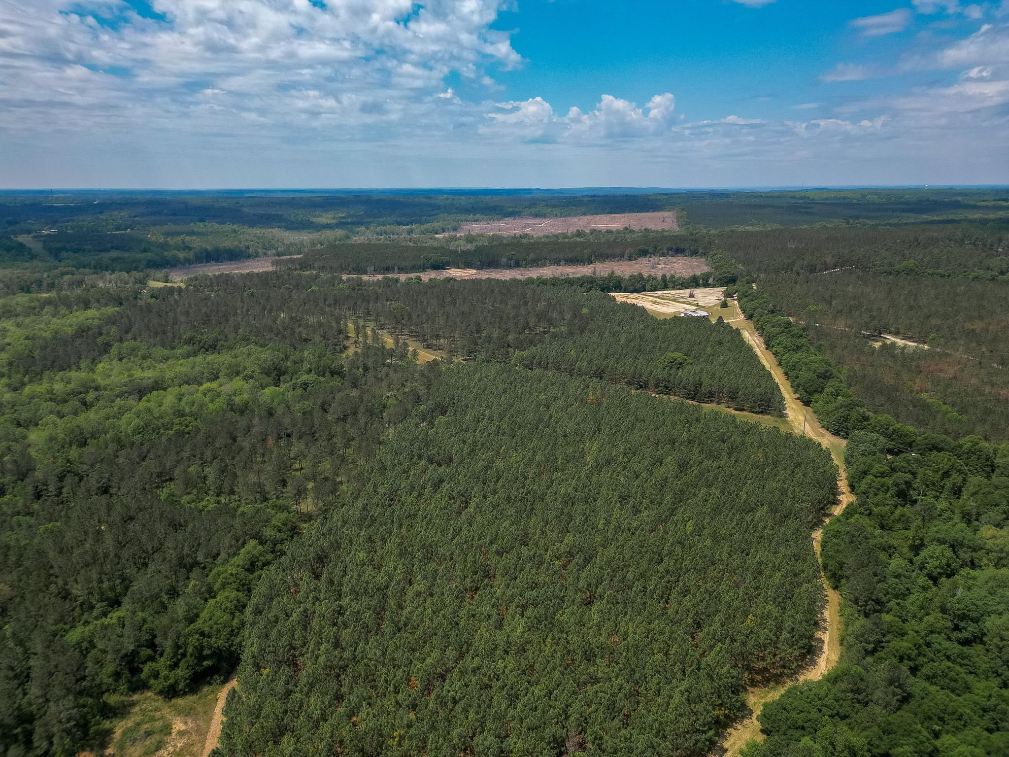 Richland, Stewart County, GA Recreational Property, Timberland Property