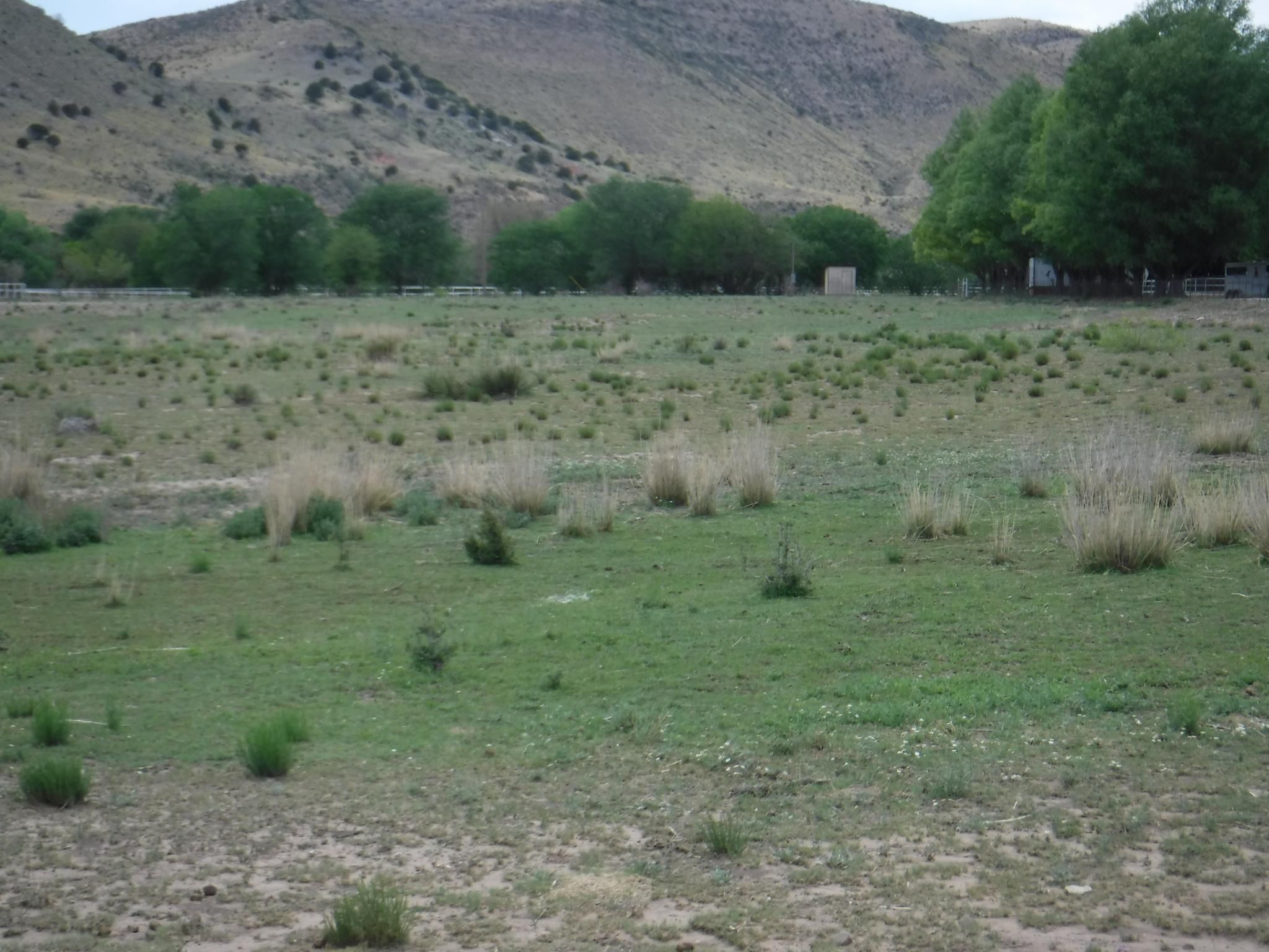 Tinnie, Lincoln County, NM Recreational Property, Horse Property for