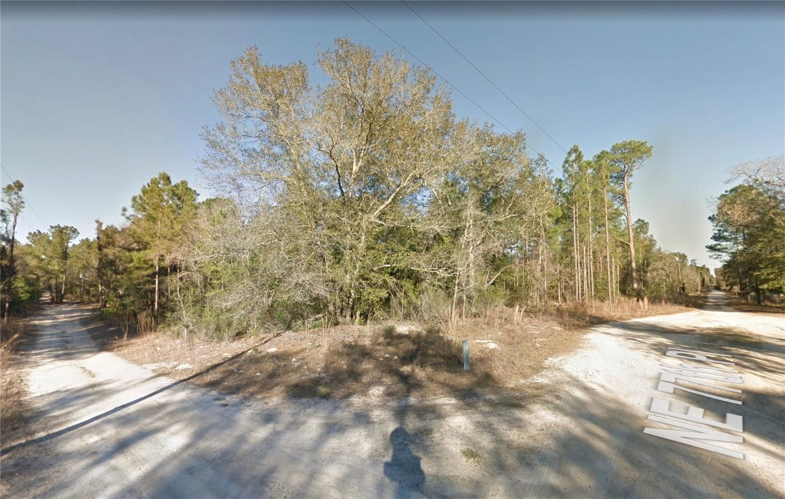 Bronson, Levy County, FL Undeveloped Land, Homesites for sale Property