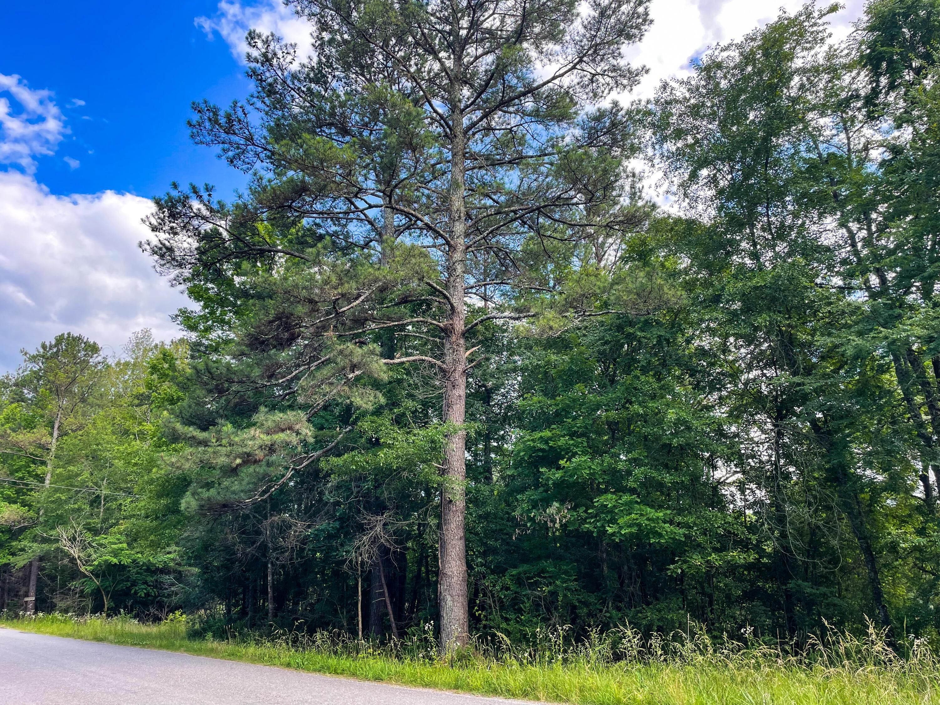 Parrish, Walker County, AL Farms and Ranches, Homesites for sale