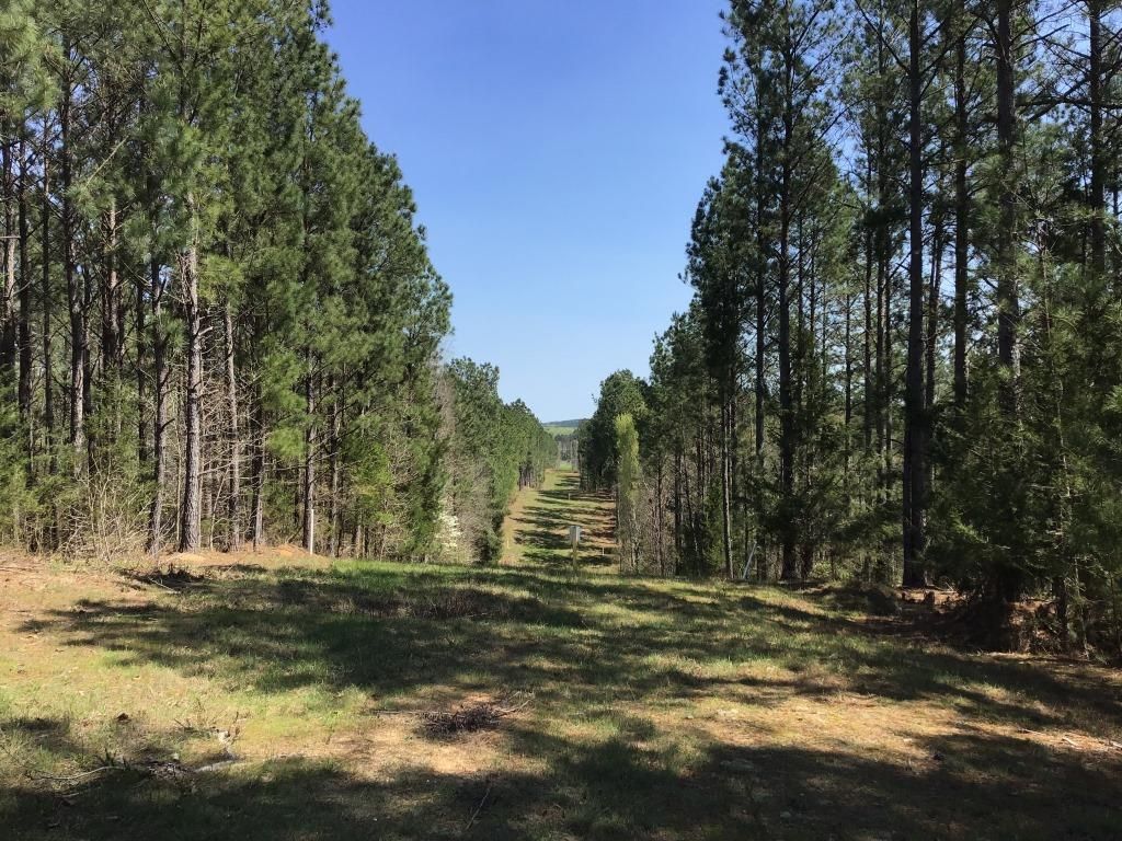 Gaffney, Cherokee County, SC Recreational Property, Timberland Property for sale Property ID