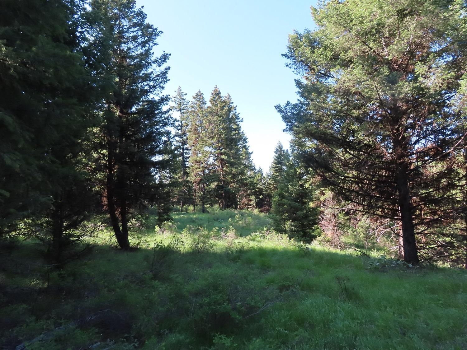 Oroville, Okanogan County, WA Recreational Property, Timberland