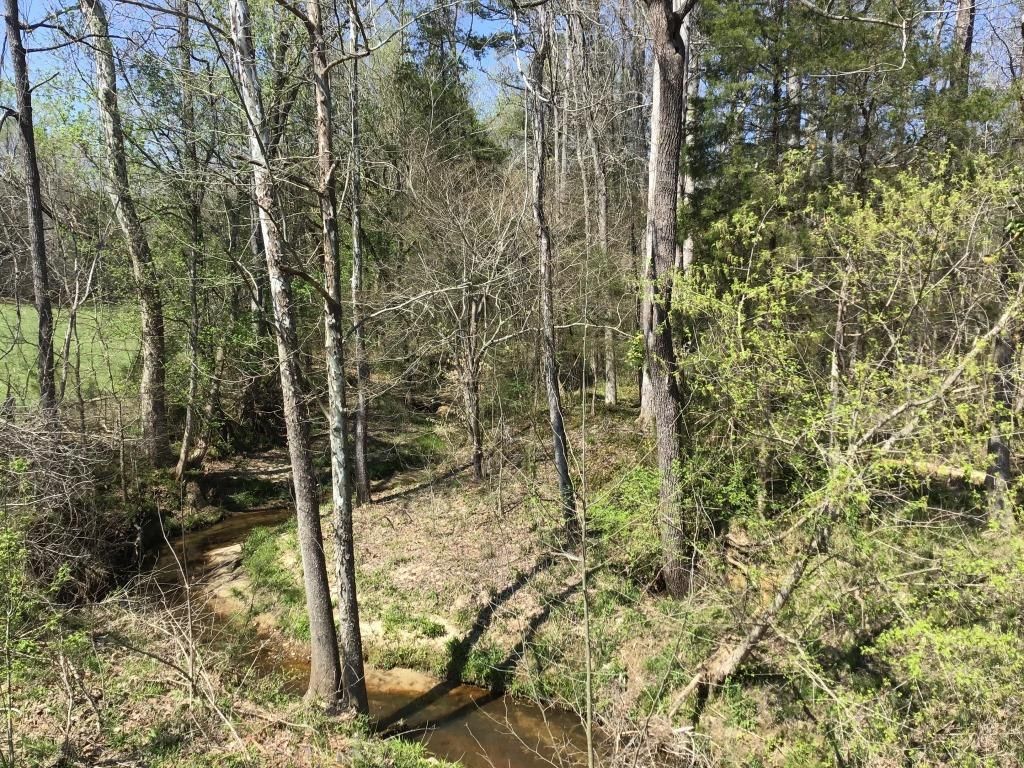 Chester, Chester County, SC Recreational Property, Timberland Property