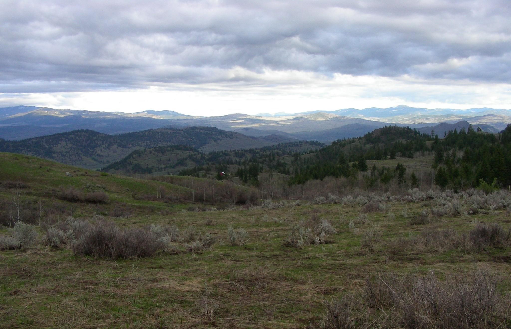 Oroville, Okanogan County, WA Recreational Property, Undeveloped Land