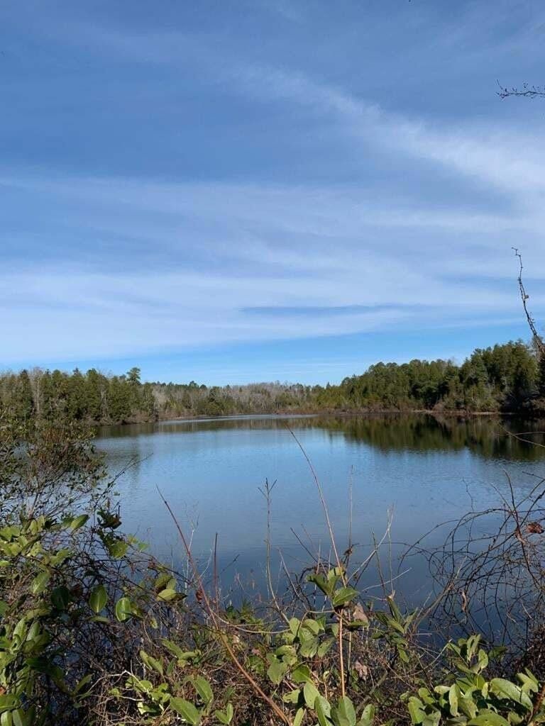 Wagener, Aiken County, SC Undeveloped Land, Lakefront Property, Waterfront Property for sale