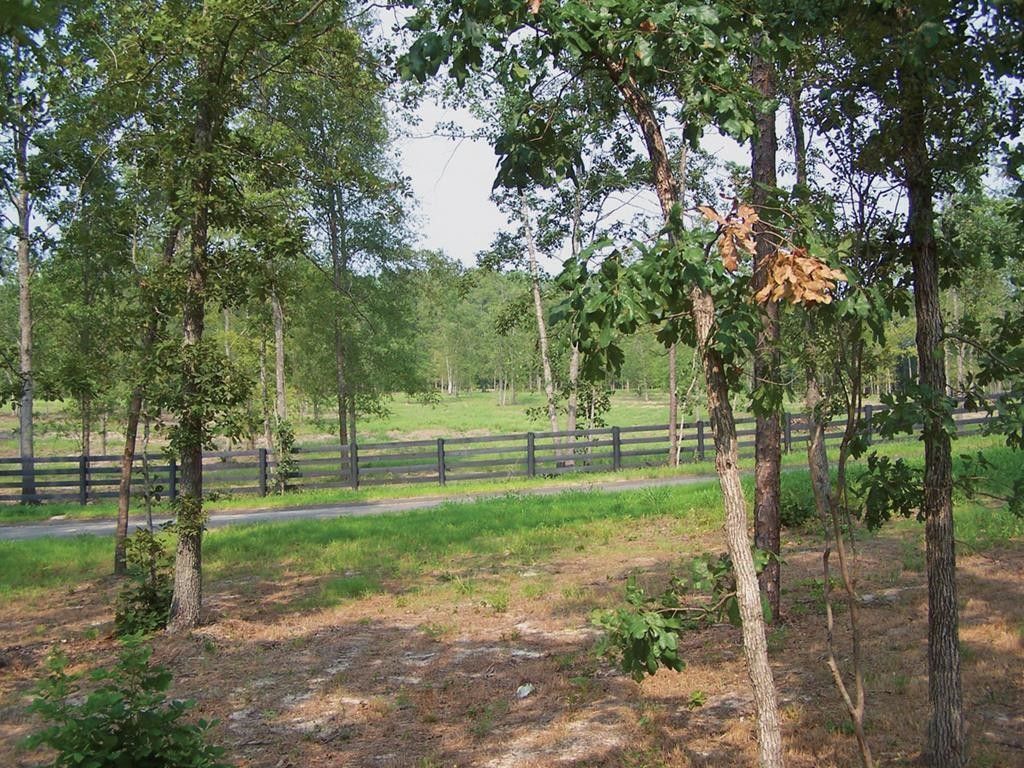 Aiken, Aiken County, SC Undeveloped Land for sale Property ID