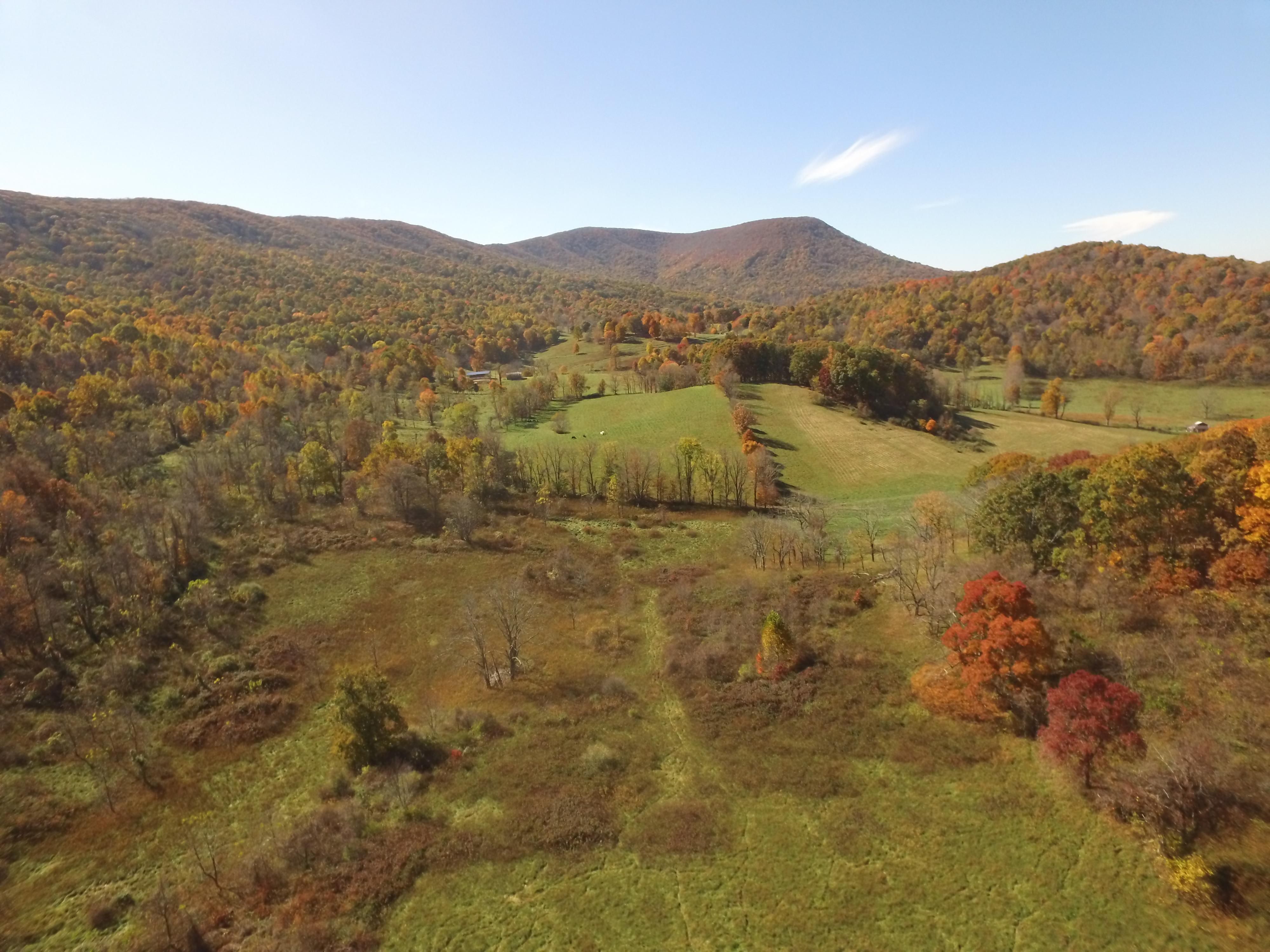 1634 Pigeon Creek Rd, Princeton, WV 24740 LandWatch