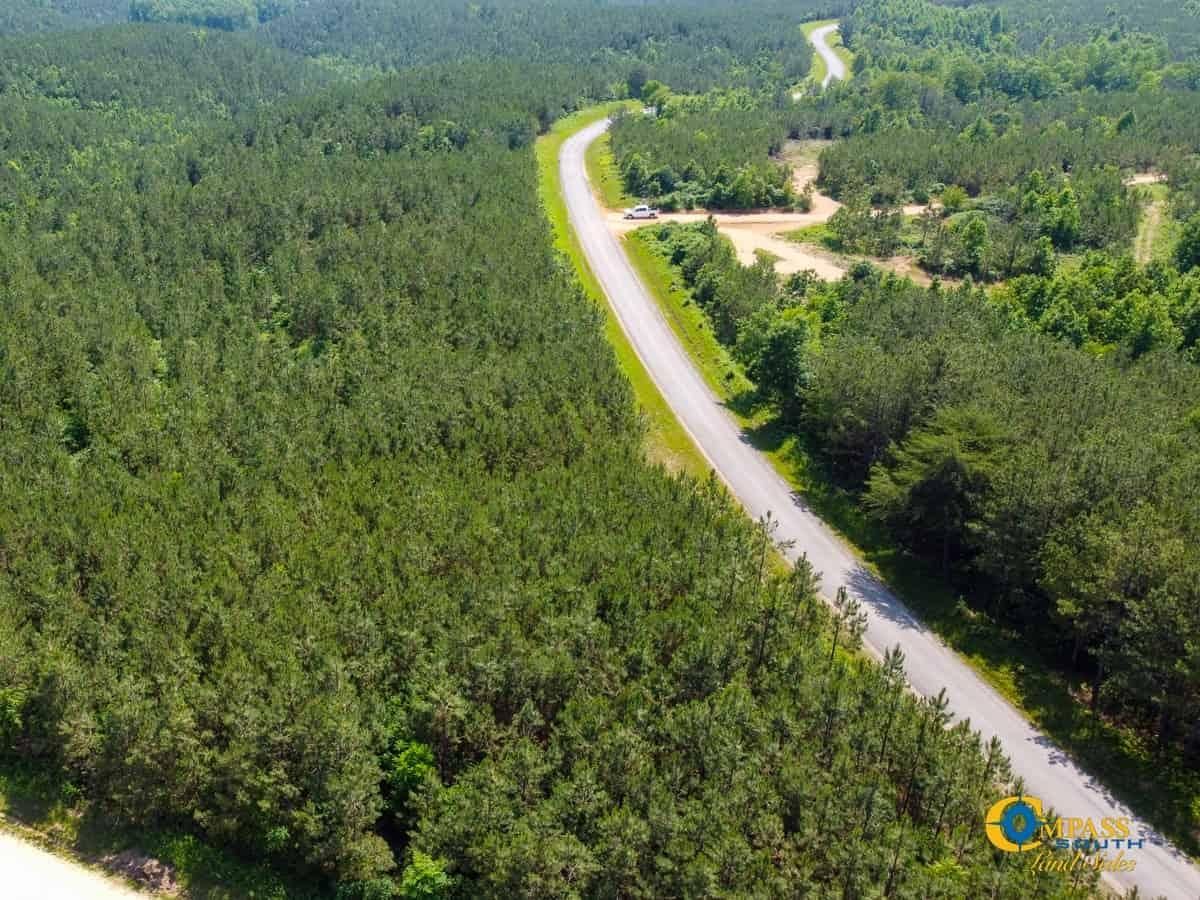 17 acres in Hohenwald, TN, 38462 LandWatch