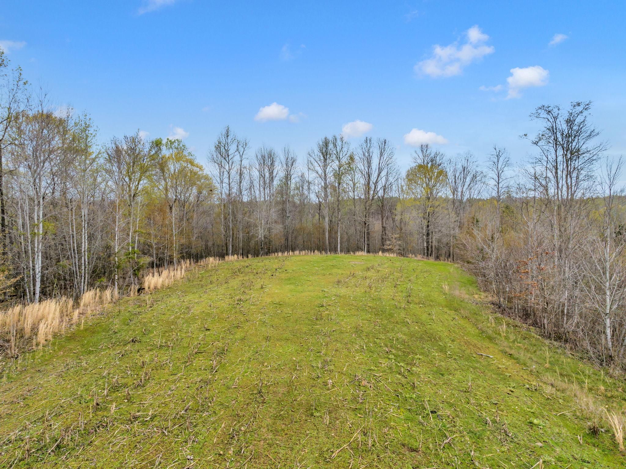 Indian Mound, Stewart County, TN Recreational Property, Undeveloped
