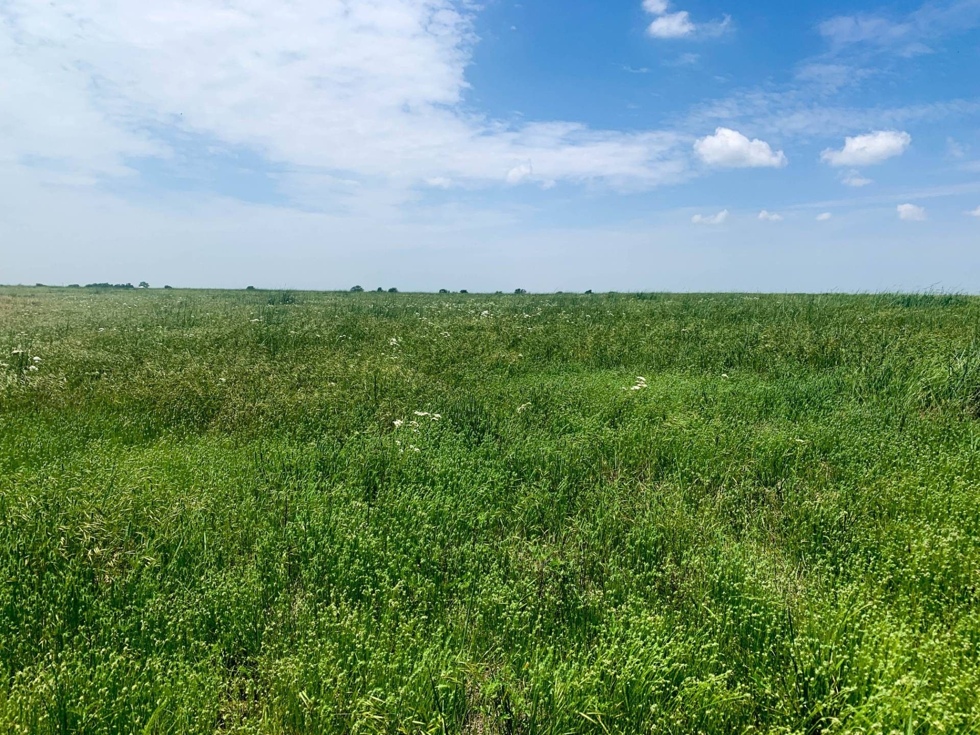 Douglas, Garfield County, OK Farms and Ranches for sale Property ID