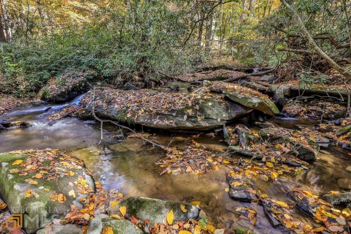 Mineral Bluff, Fannin County, GA Farms and Ranches, Lakefront Property