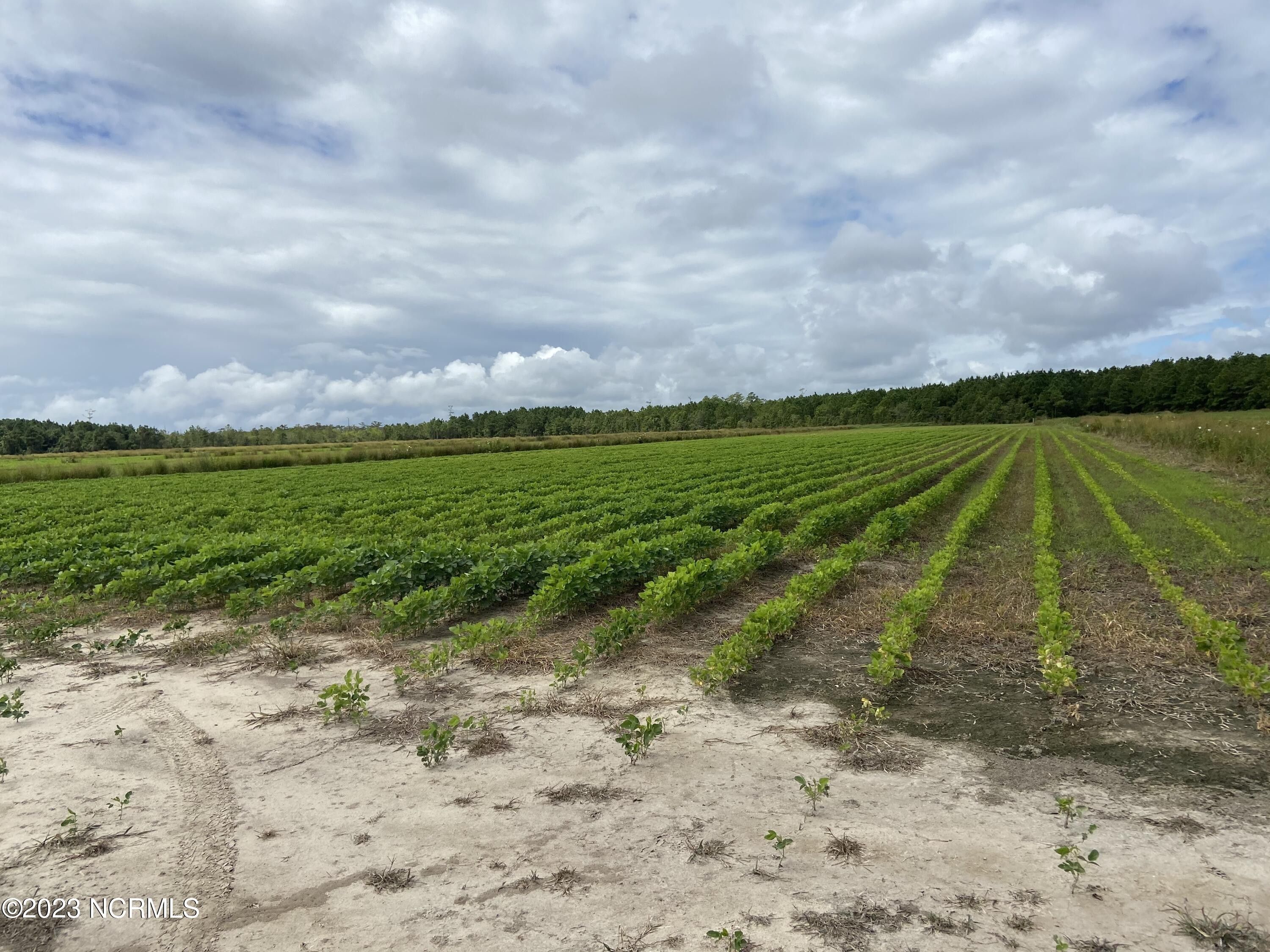Camden, Camden County, NC Undeveloped Land, Lakefront Property