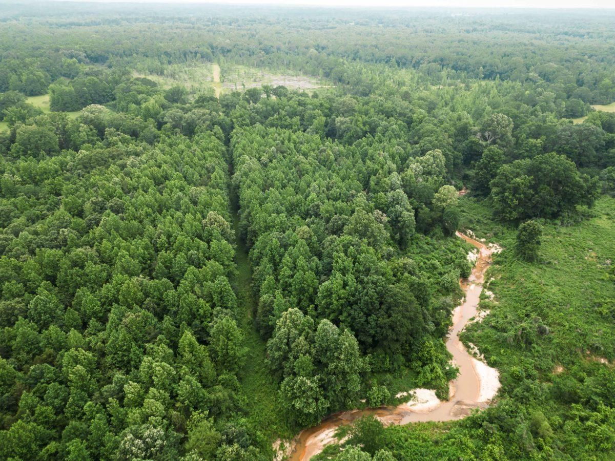 Goodman, Holmes County, MS Recreational Property, Timberland Property